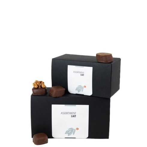 castelain-ballotins-assortiment-chocolats-lait-240g-pralin image 1