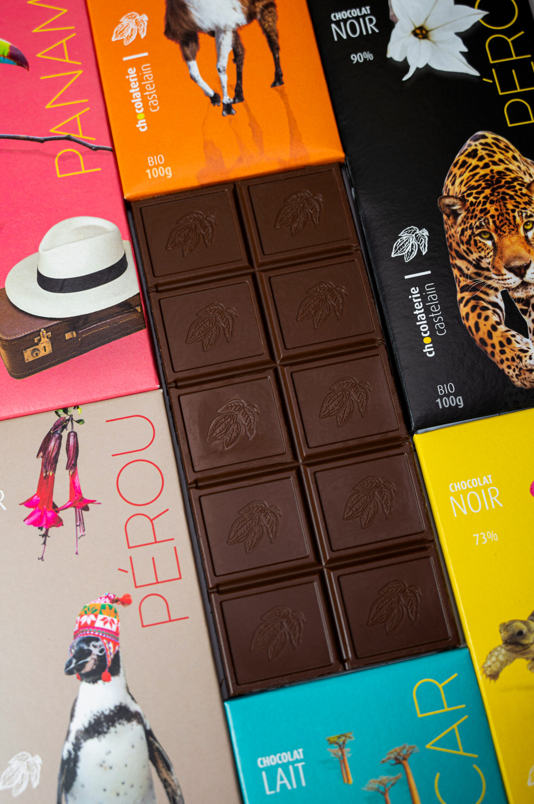 chocolaterie-castelain-tablettes-origines-lot-tablettes-bio-600g-5-1 image 2
