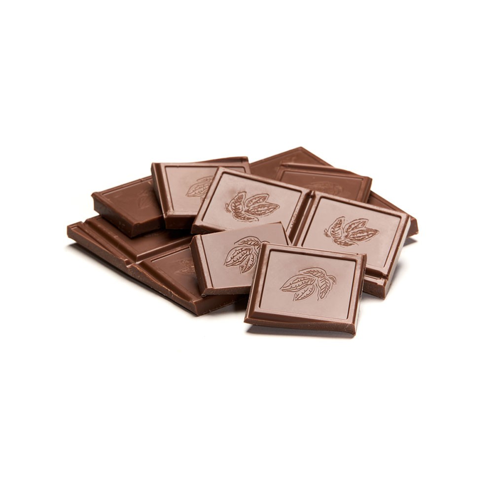chocolaterie-castelain-tablette-lait-41-clats-noisettes-bio-100g image 2