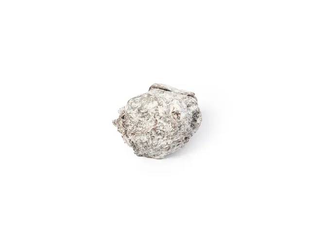 daskalid-s-truffes-truffe-champagne-truffe-marc image 1