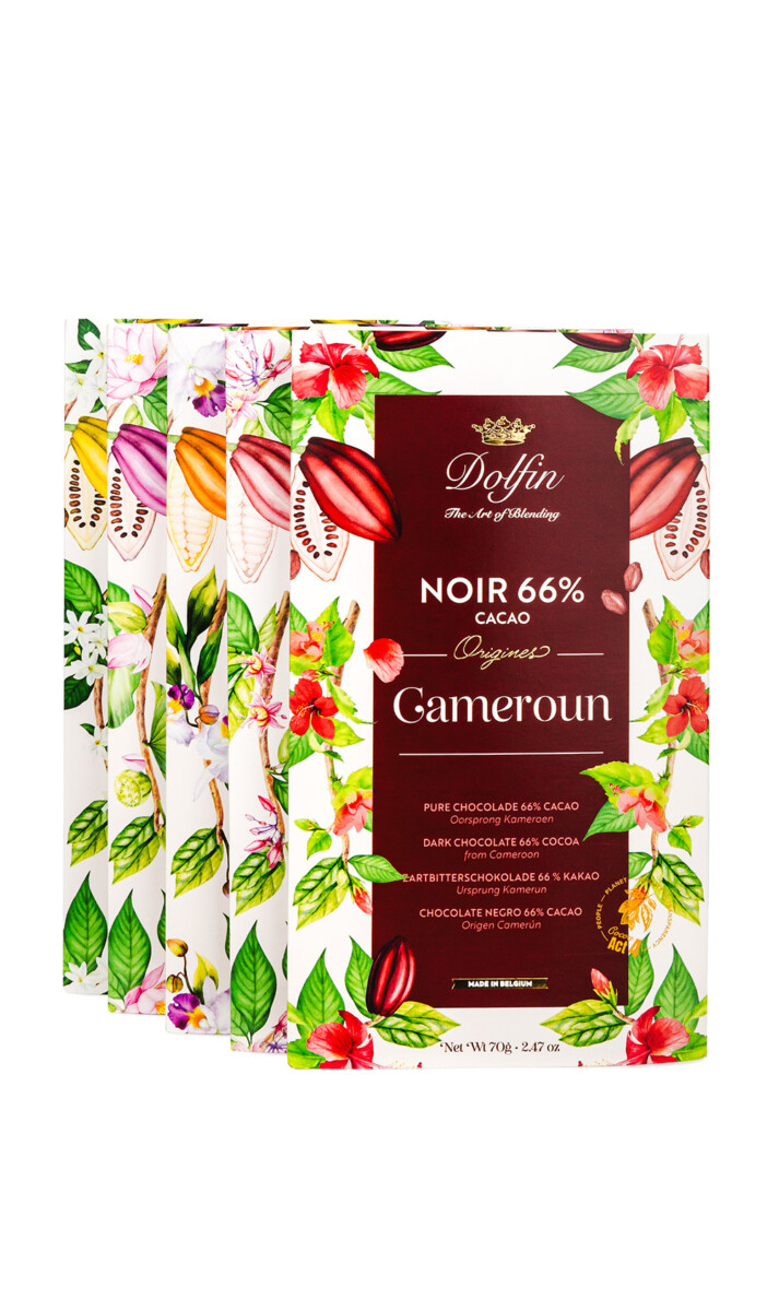 dolfin-origines-cameroun-66-tablette-chocolat-noir image 4