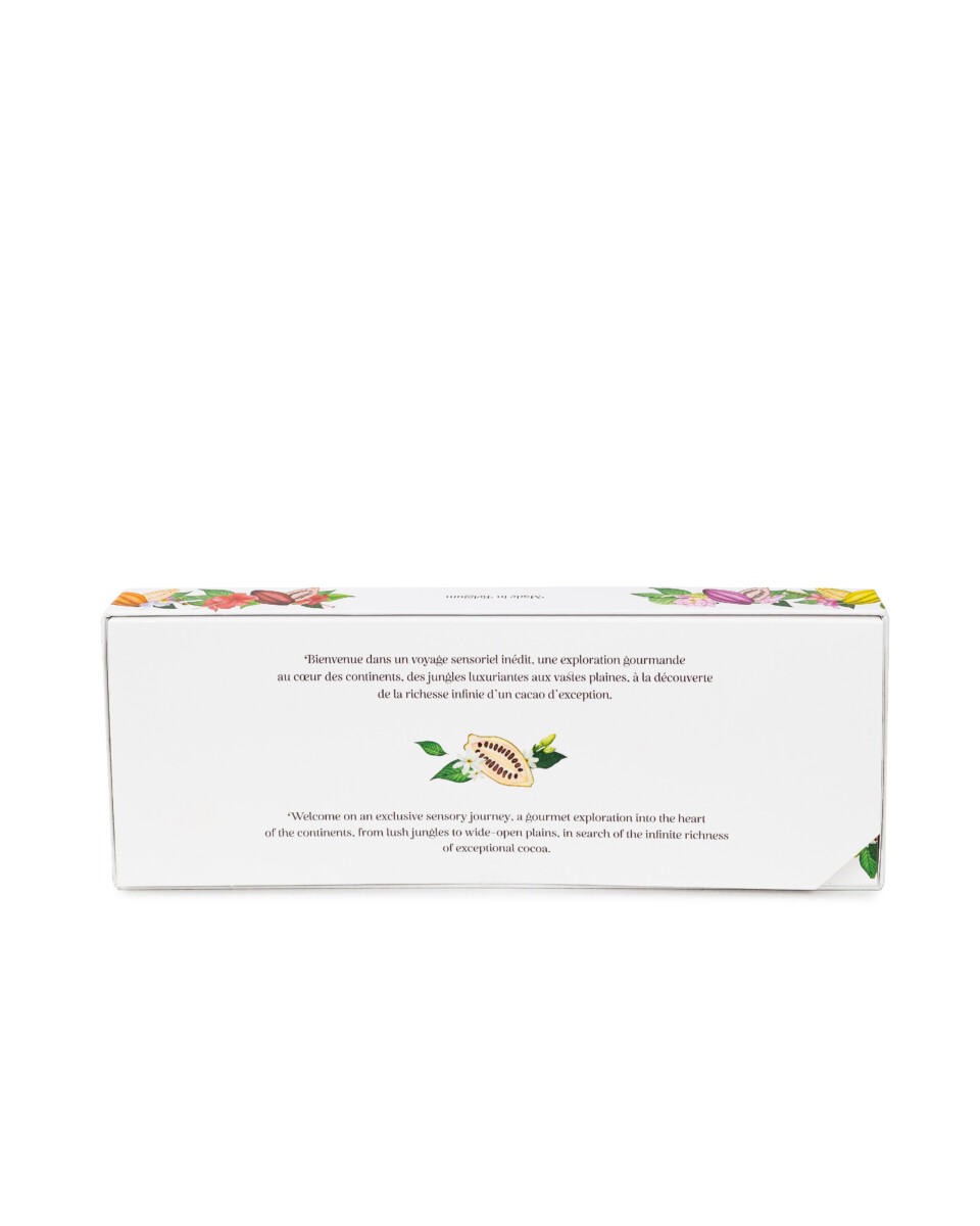 dolfin-coffrets-cadeaux-origines-chocolat-noir-lait-6-origines image 3