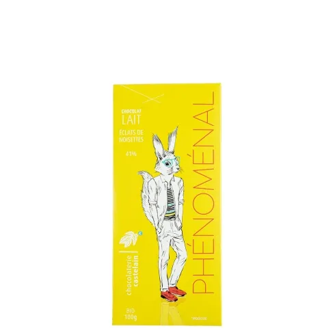 chocolaterie-castelain-tablette-lait-41-clats-noisettes-bio-100g image 1